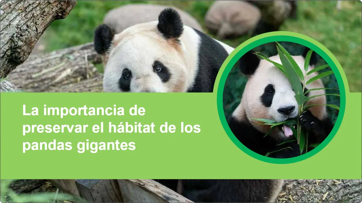 artificial intelligence powerpoint presentation