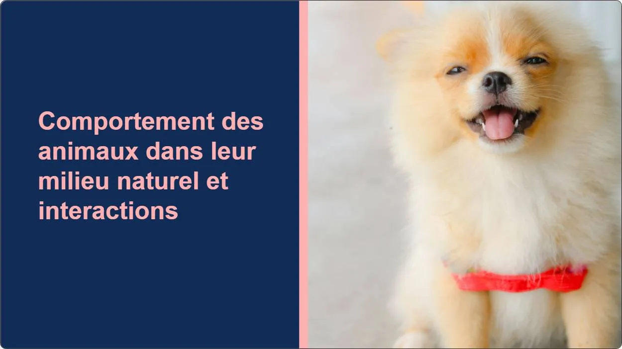 artificial intelligence powerpoint presentation