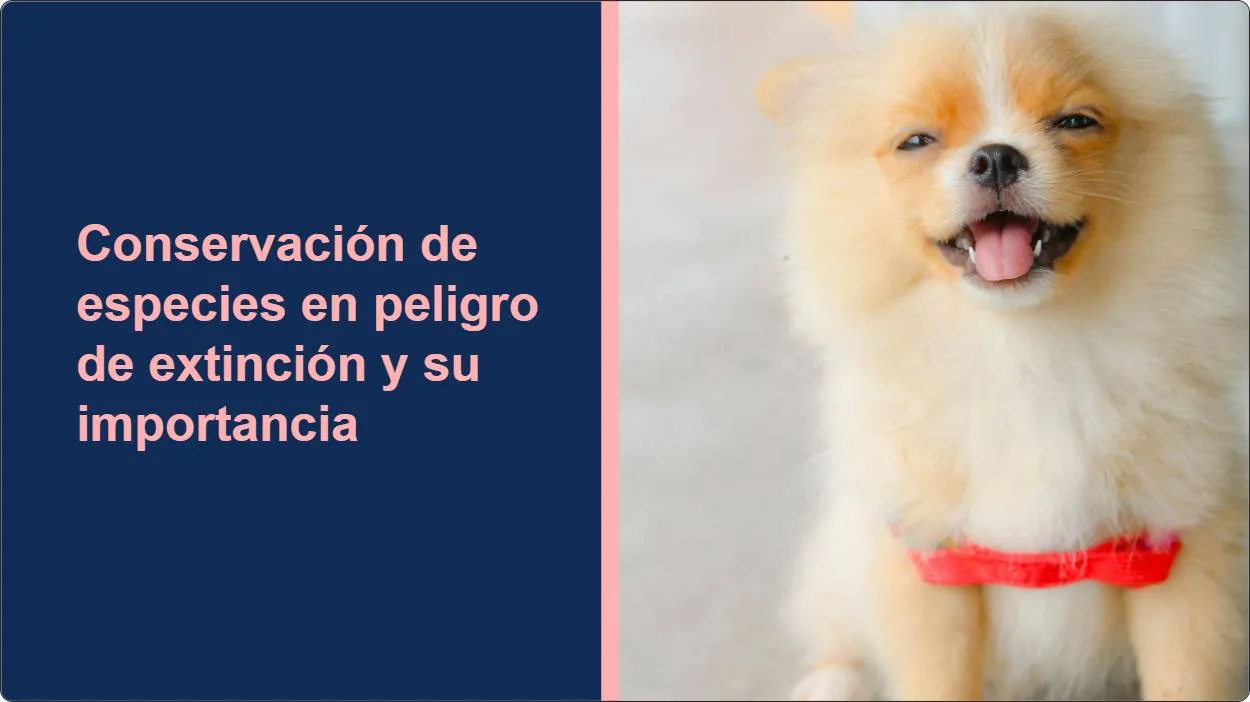 artificial intelligence powerpoint presentation