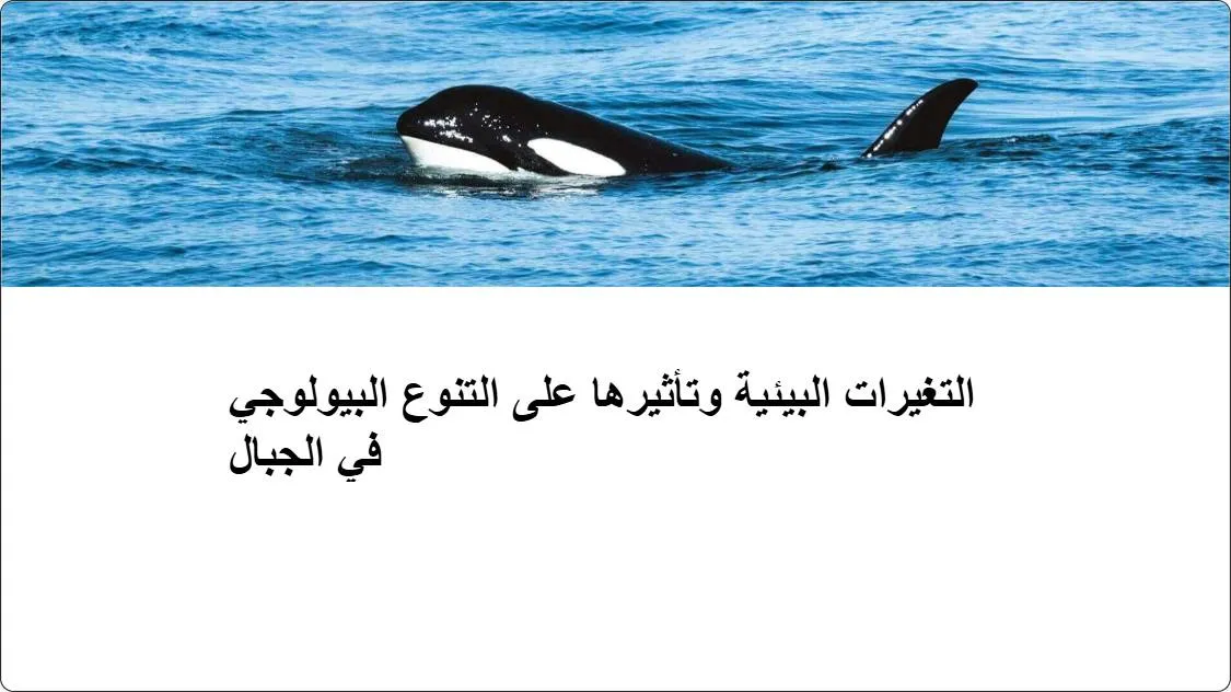 artificial intelligence powerpoint presentation