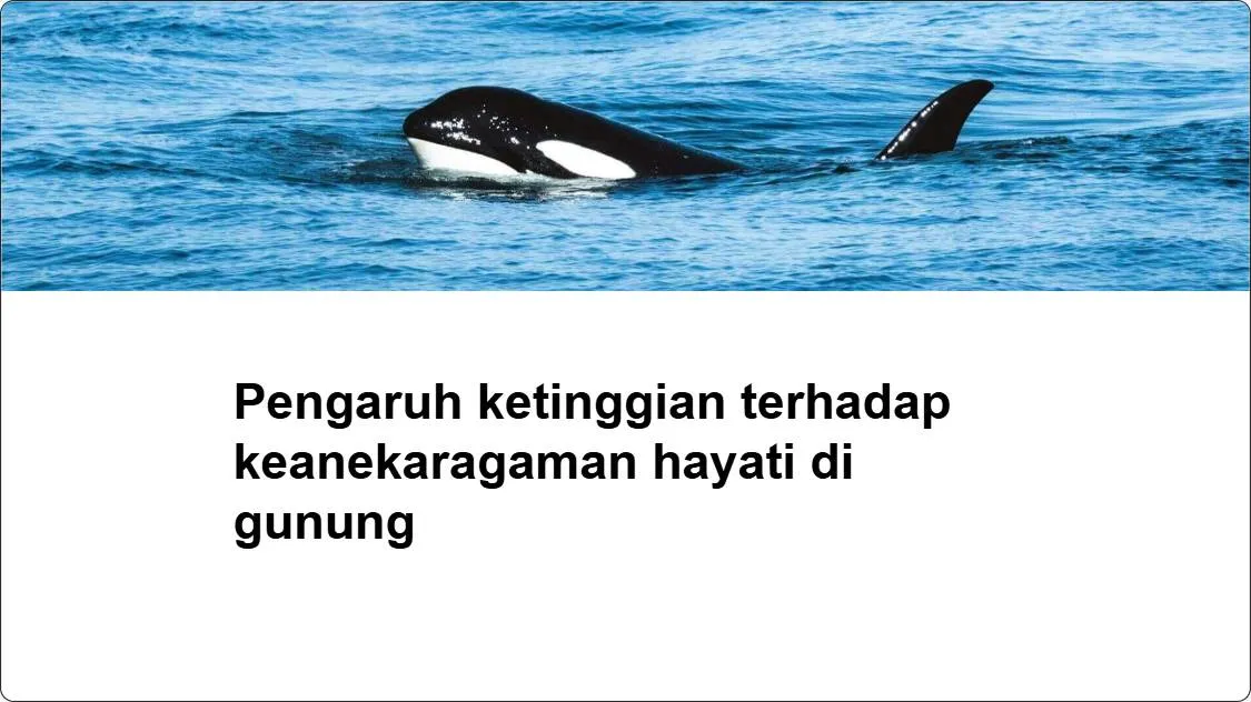 artificial intelligence powerpoint presentation