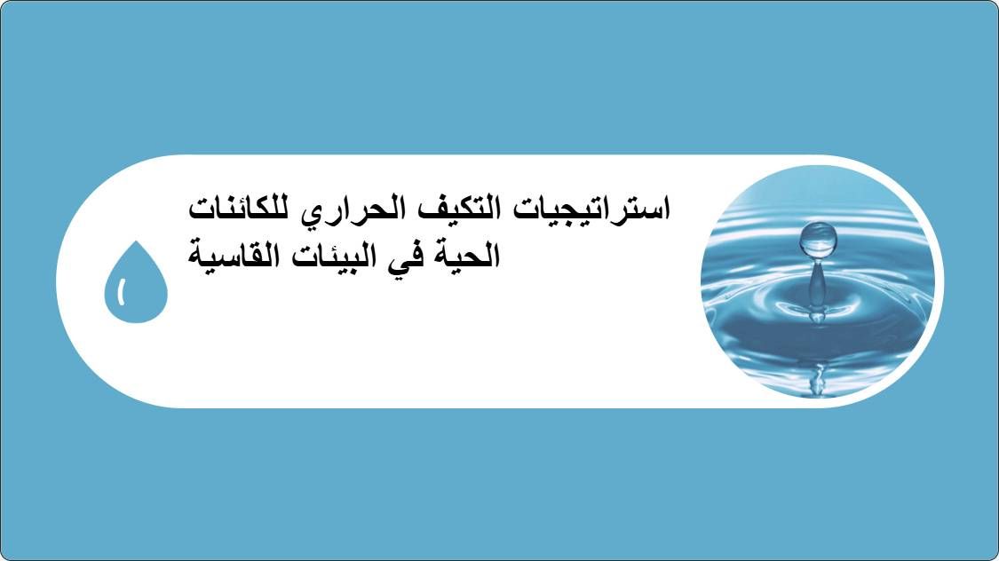 artificial intelligence powerpoint presentation